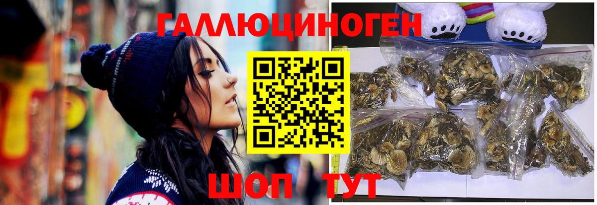 Галлюциногенные грибы MAGIC MUSHROOMS Тамбов